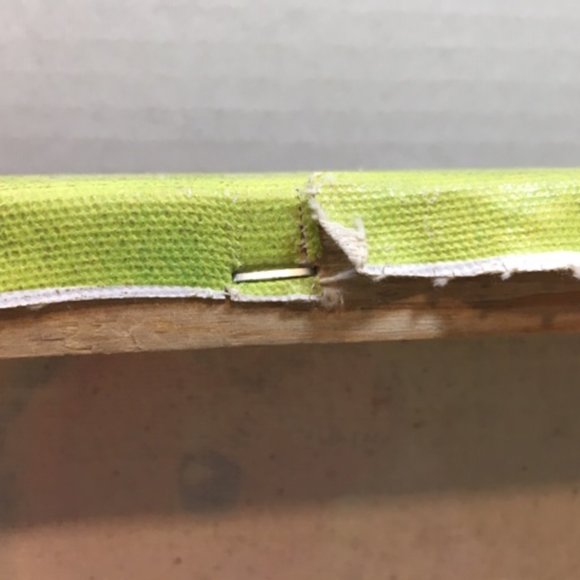 Hand Painted Giclee on Canvas Gouldian Finch Bird on Branch16x16" - Picture 8 of 8